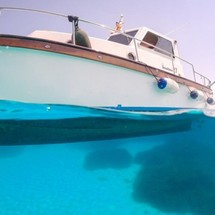 Sciallino 40 fly