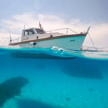 Sciallino 40 fly