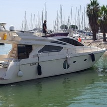 Rodman Muse 54