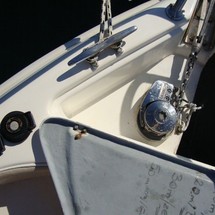 Eden 22