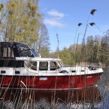 Pedro Levanto 32