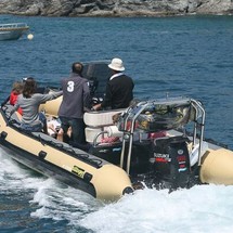 Sillinger 580 Silverline