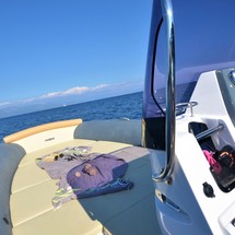 Salpa Gran Soleil 23