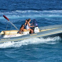 Salpa Gran Soleil 23