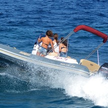 Salpa Gran Soleil 23