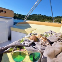 Salpa Gran Soleil 23