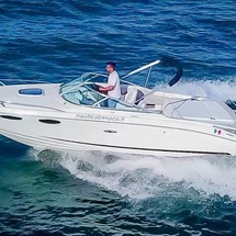 Sea ray 240