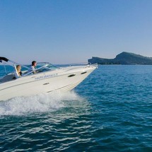 Sea ray 240
