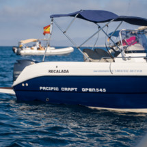 Pacific Craft 545 Open