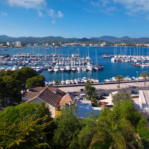 Cranchi Panama 24