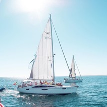 Bavaria 46 Vision