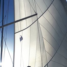 Bavaria C45
