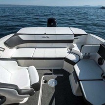 Sea ray 19 spx