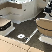 Sea ray 19 spx