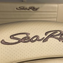 Sea ray 19 spx
