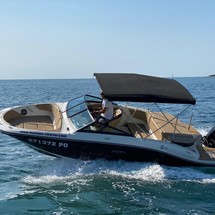 Sea ray 19 spx