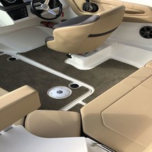 Sea ray 19 spx