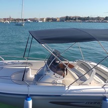 Ranieri international shadow 19