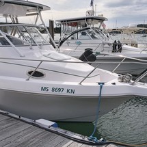 Pro-line 30 sport wa
