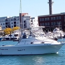 Pro-line 30 sport wa