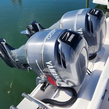 Pro-line 30 sport wa