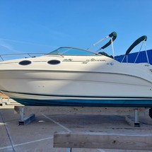 Sea Ray 240 Sundancer