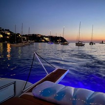 Rizzardi 45 incredible