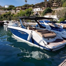 Sea Ray 310 SLX