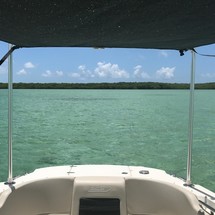 Boston Whaler 270 Vantage