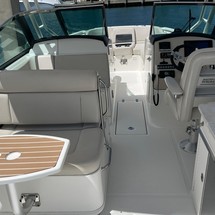 Boston Whaler 270 Vantage