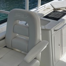 Boston Whaler 270 Vantage