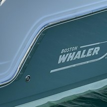 Boston Whaler 270 Vantage