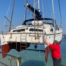 Heavenly twins mk ii