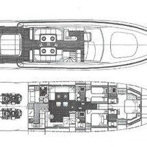 Leopard 24