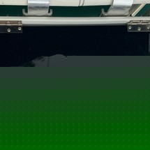 Angler Pro Boats 2900 center console