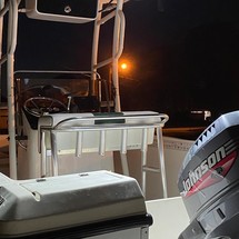 Angler Pro Boats 2900 center console