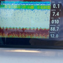Angler Pro Boats 2900 center console