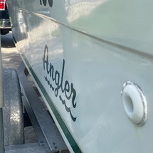 Angler Pro Boats 2900 center console