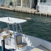 Pursuit 2870 center console