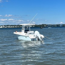 Sea Ray hunt ultra 211