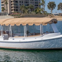 Duffy 22 Cuddy Cabin