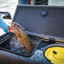 Tracker Targa V-18 WT