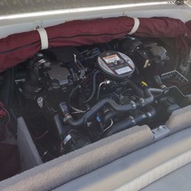 Stingray 195 LS/LX
