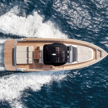 Pardo 43