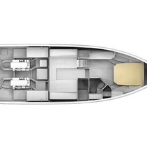 Pardo 43