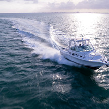 Stamas 290 express