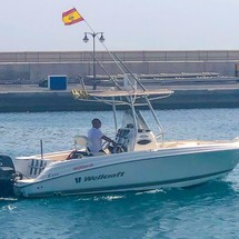 Wellcraft 222 Fisherman