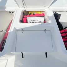 Sea Ray hunt bx22 br