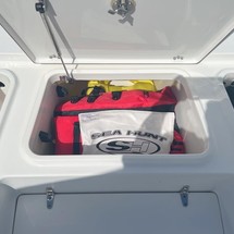 Sea Ray hunt bx22 br