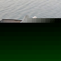 Lund Boats 1650 Rebel XS SS